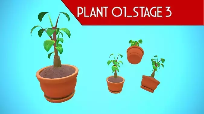 PLANT 01- STAGE 03 AND PLANT POT 01 CARTOON STYLIZED Low-poly 3D model