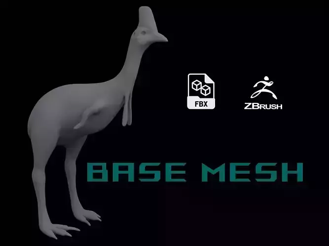 Cassowary Base Mesh