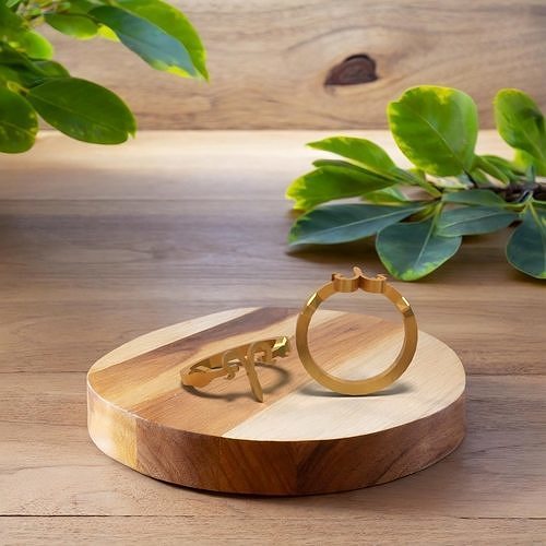 aries ring Free 3D print model