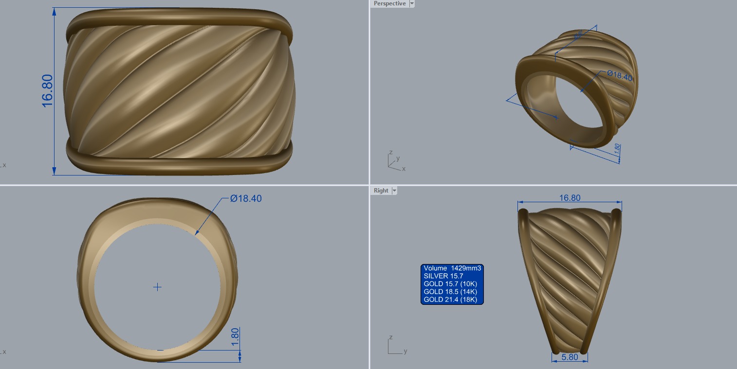 R 204 Rope Bold ring 3D print model_13