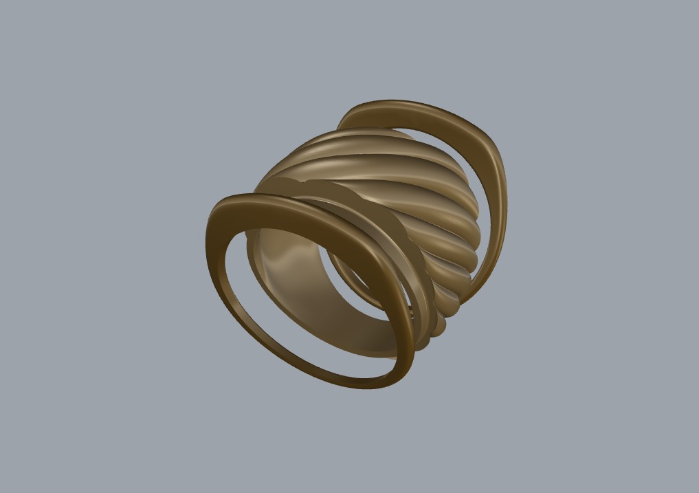 R 204 Rope Bold ring 3D print model_15