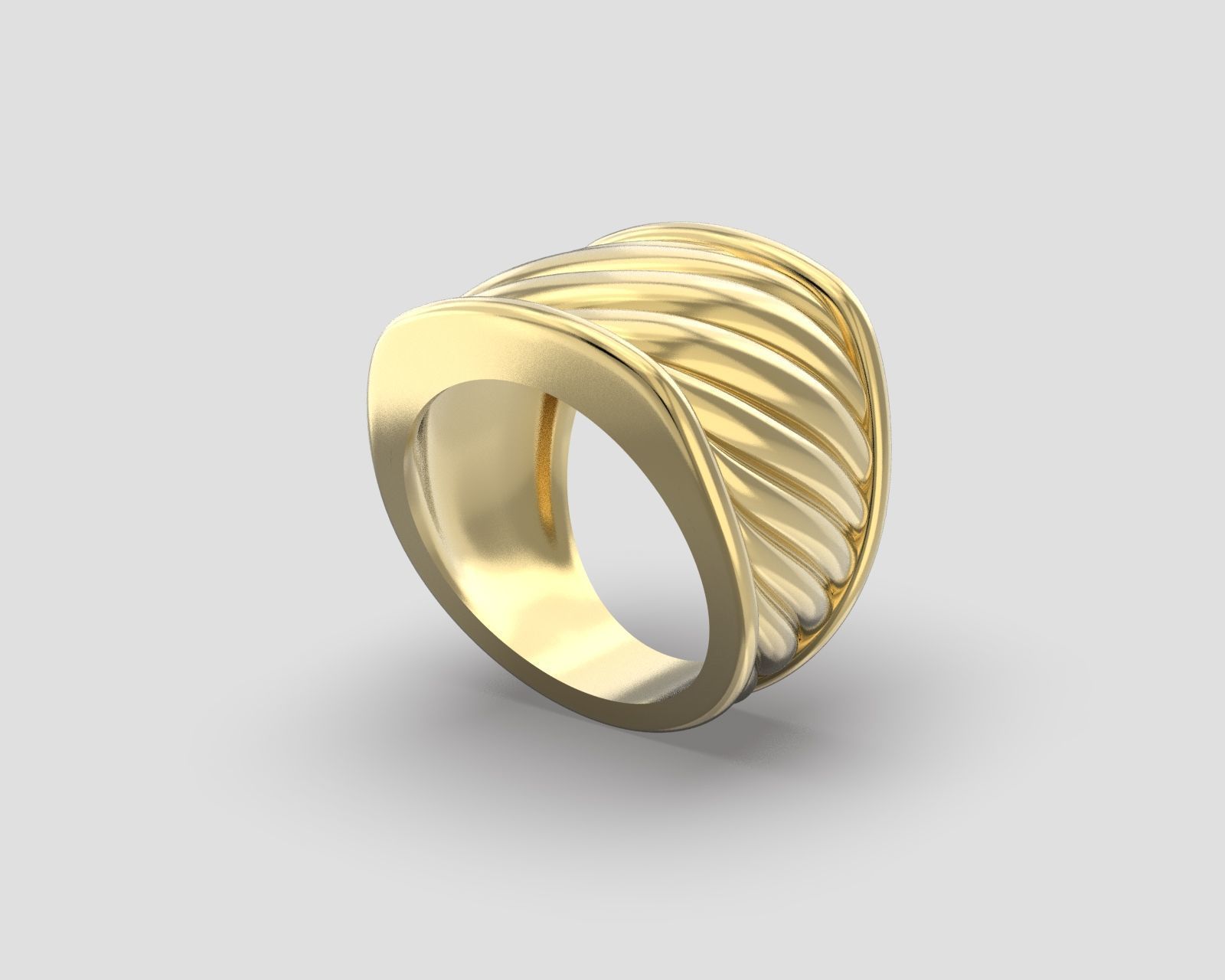 R 204 Rope Bold ring 3D print model_5