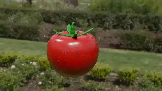 Realistic Cherry Tomato Model