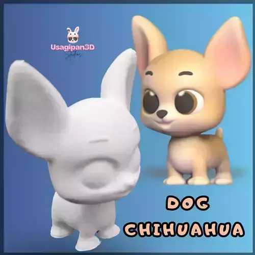 Dog Chihuahua