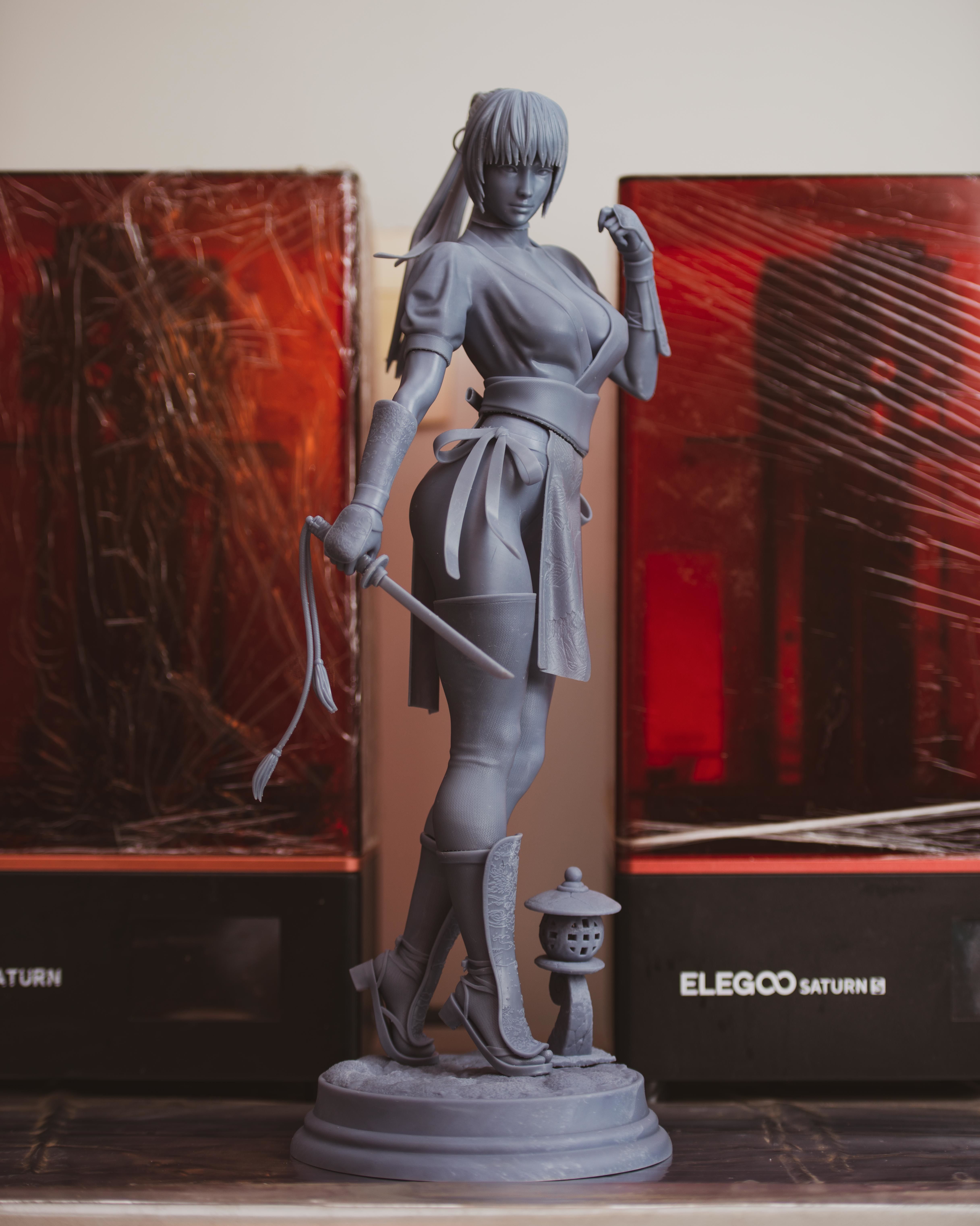 Kasumi 3D print model_12