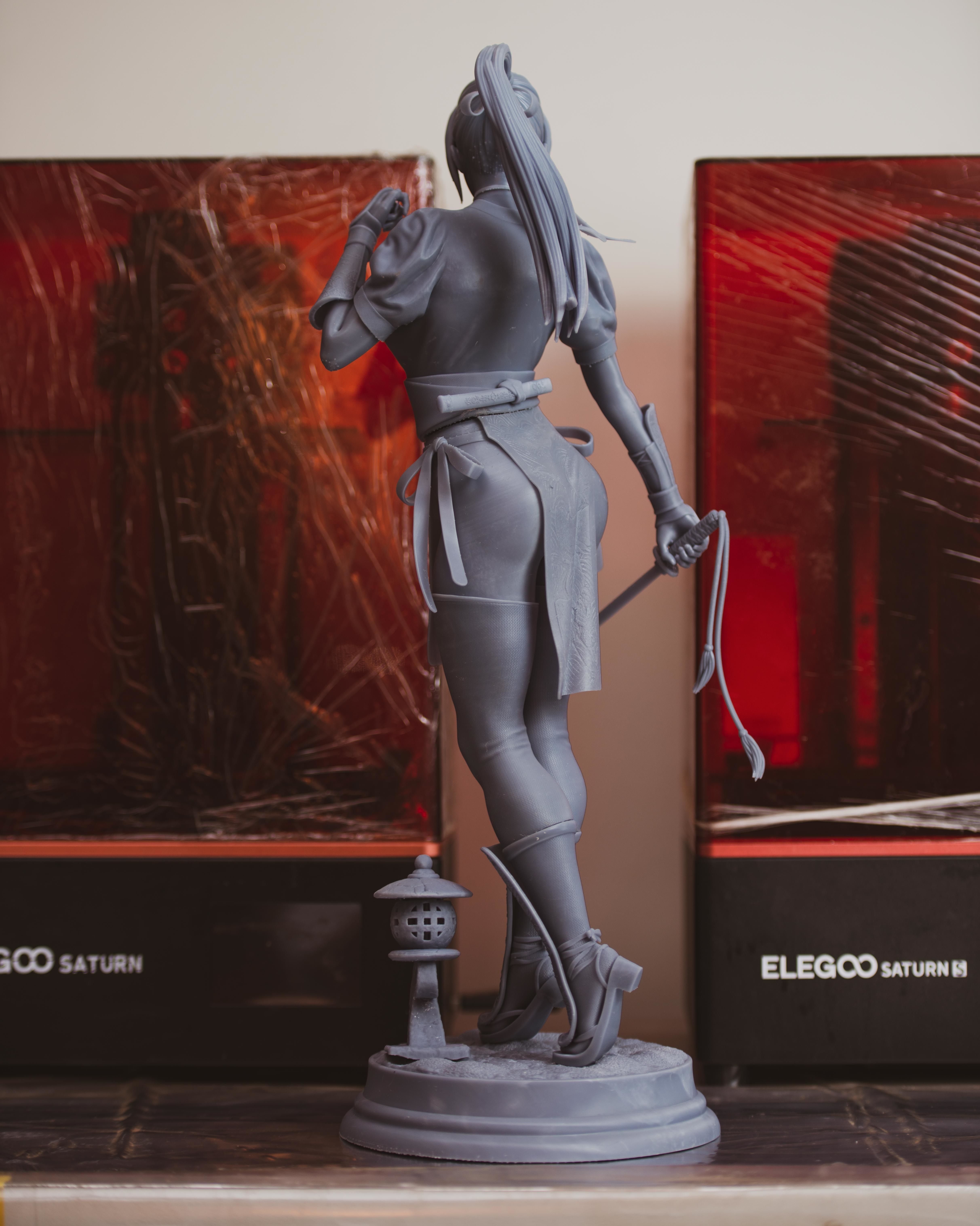 Kasumi 3D print model_13