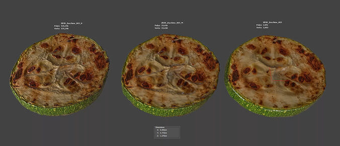 Zucchini 3D model 6