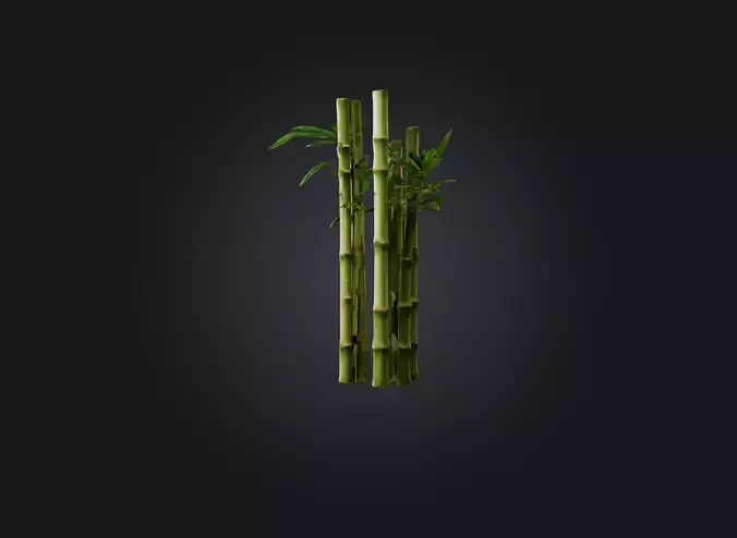 bamboo Low-poly 3D model