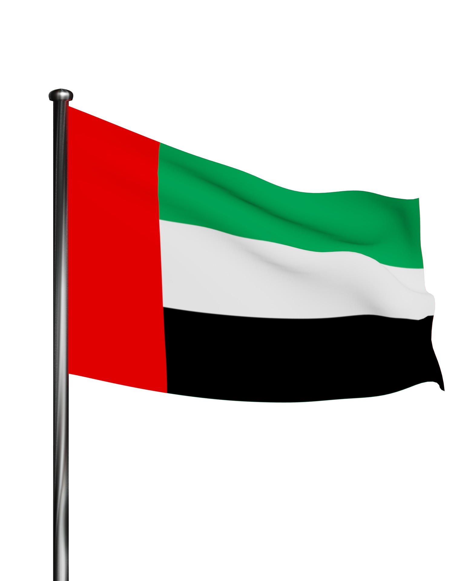 United Arab Emirates UAE flag 3D model_10