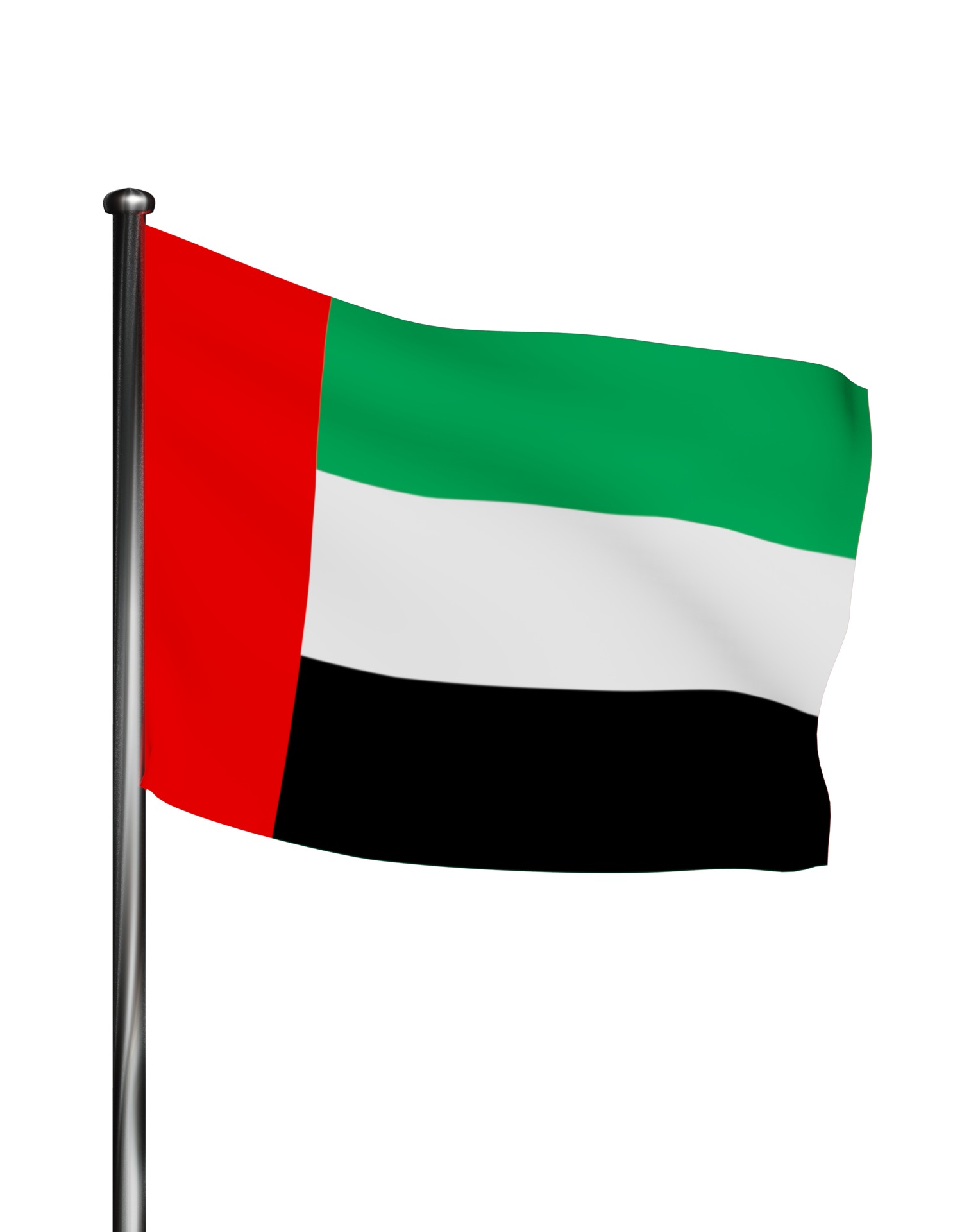 United Arab Emirates UAE flag 3D model_16