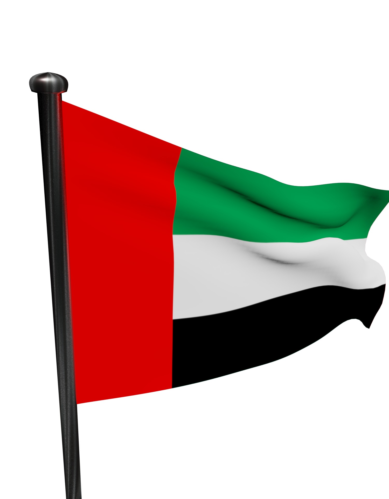 United Arab Emirates UAE flag 3D model_6