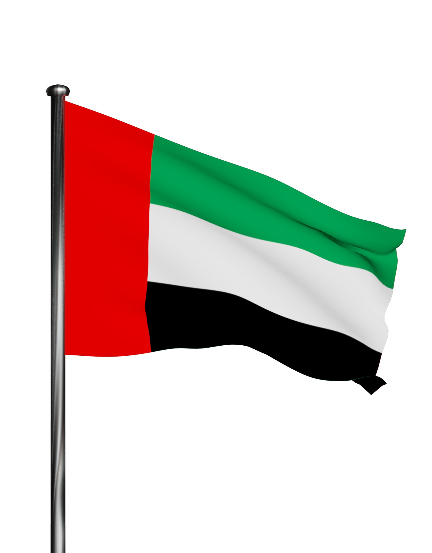 United Arab Emirates UAE flag 3D model_12