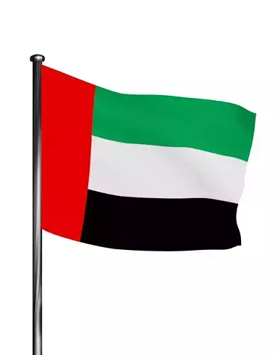 United Arab Emirates UAE flag 3D model