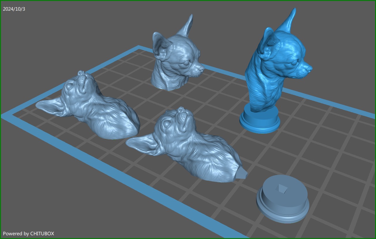 Chihuahua bust 3D print model_1