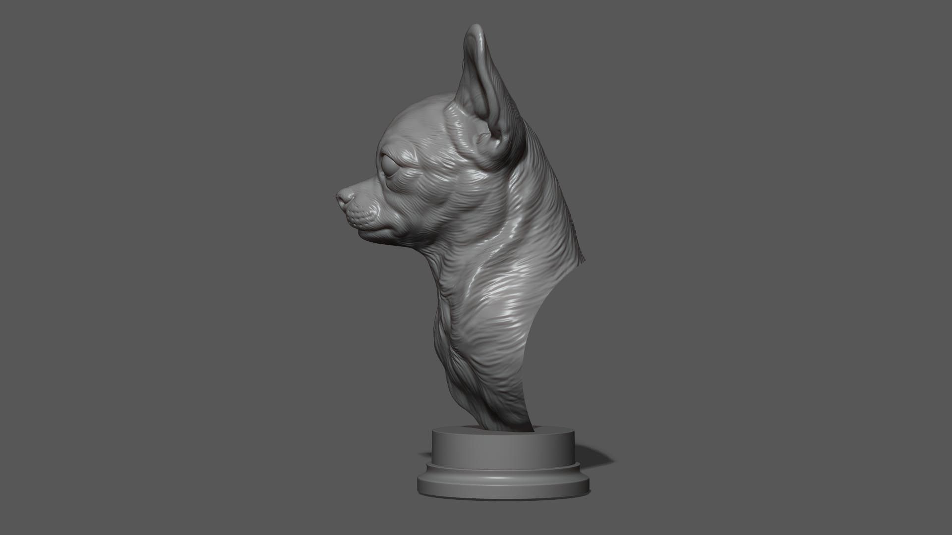 Chihuahua bust 3D print model_16