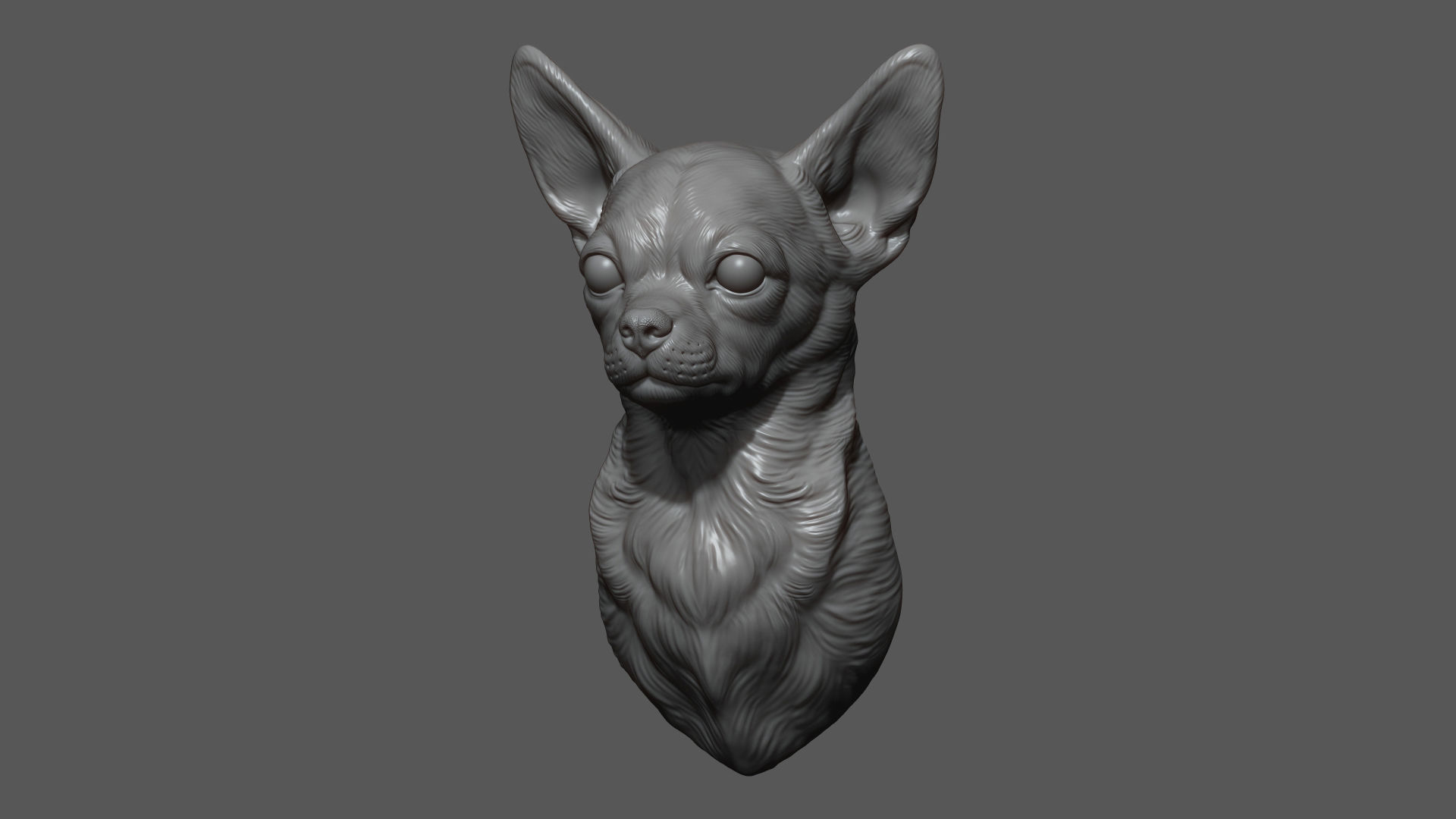 Chihuahua bust 3D print model_5