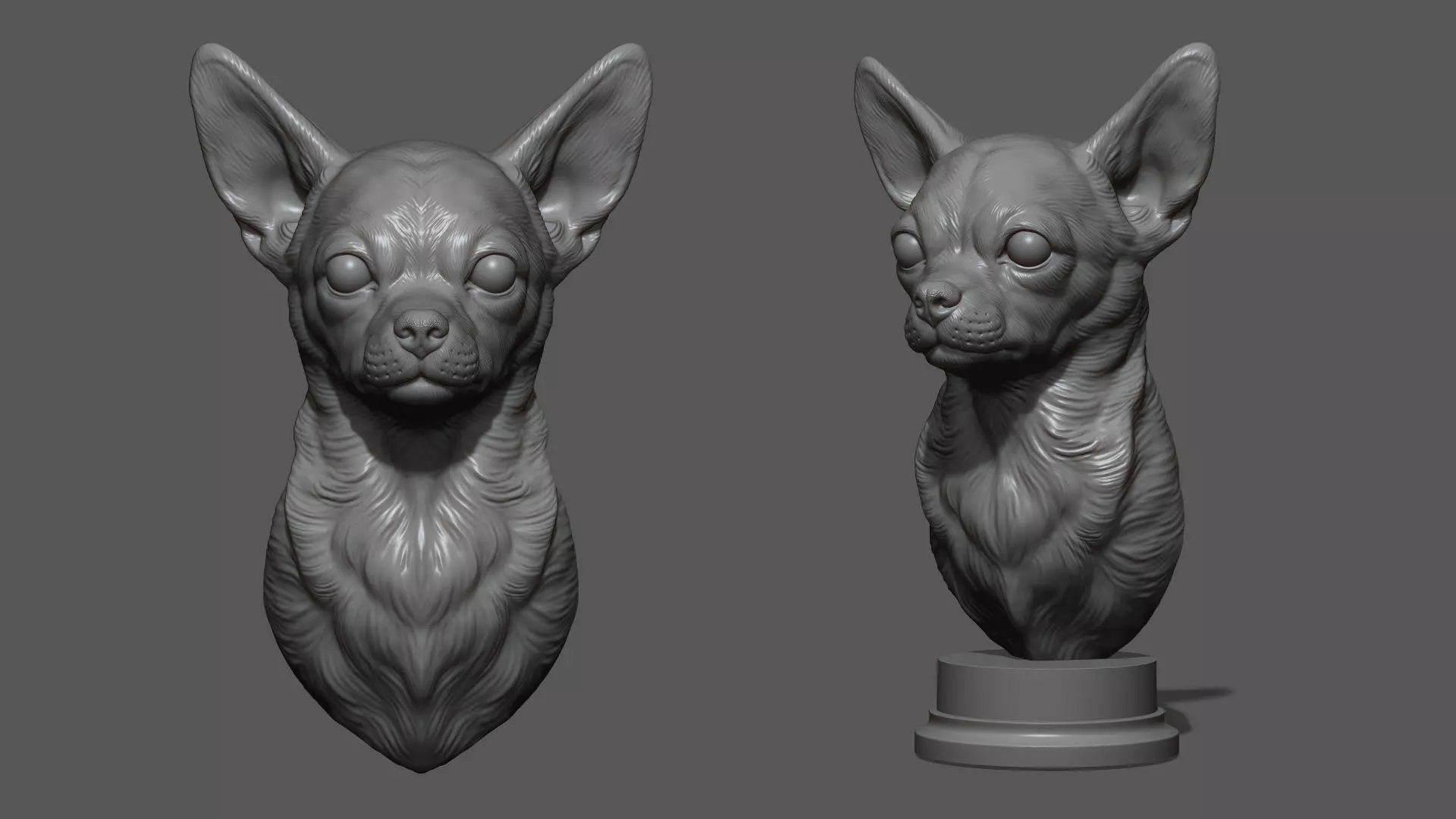 Chihuahua bust 3D print model_0