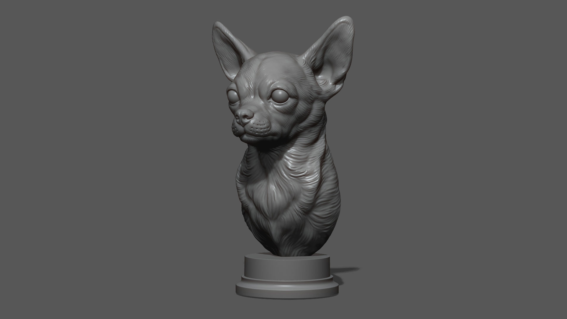 Chihuahua bust 3D print model_18