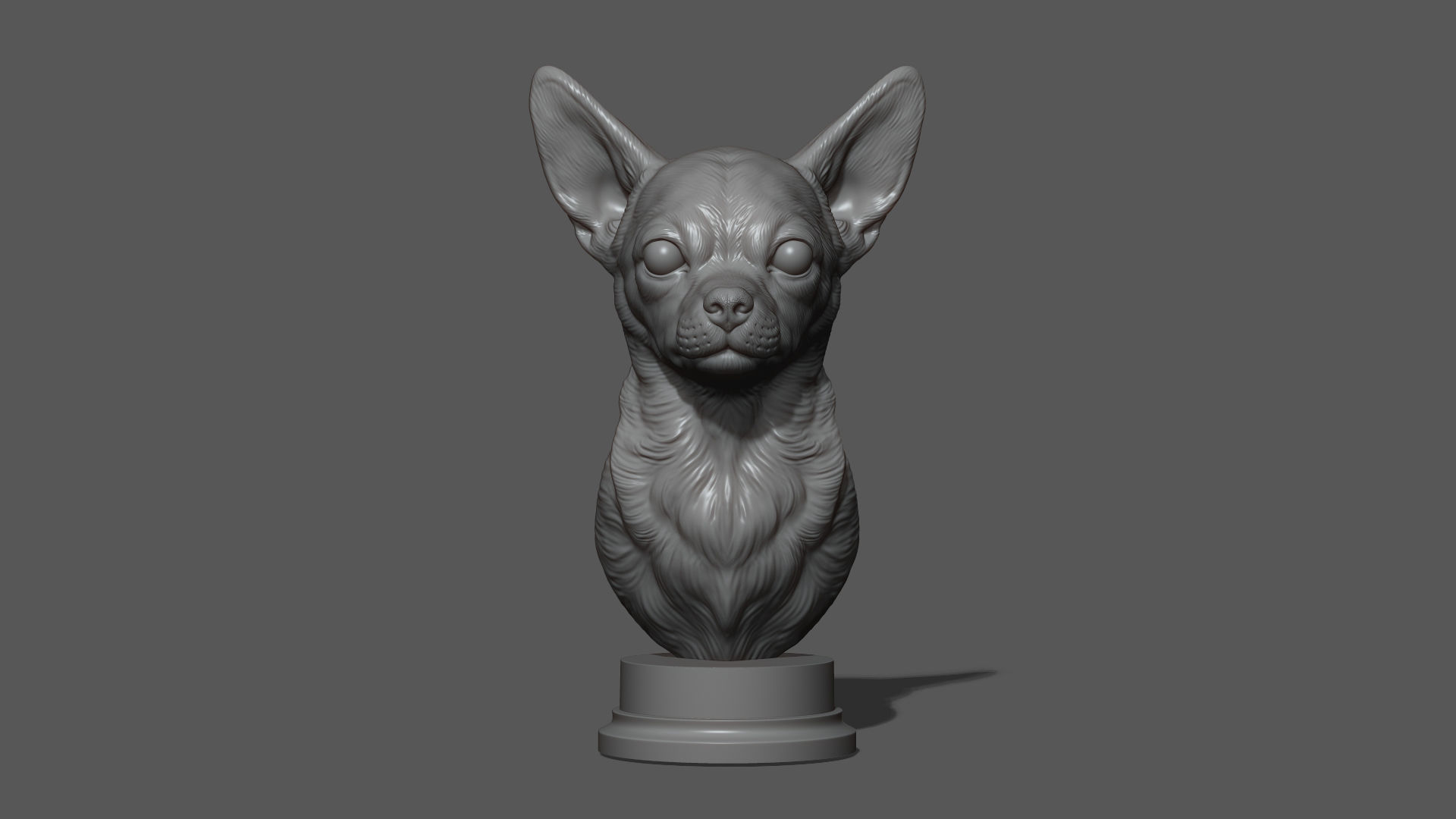 Chihuahua bust 3D print model_15