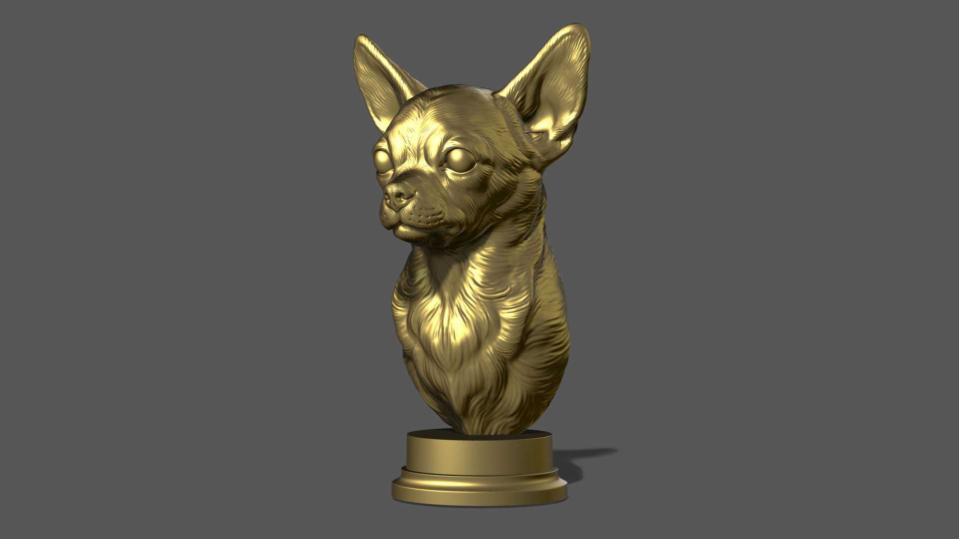 Chihuahua bust 3D print model_20
