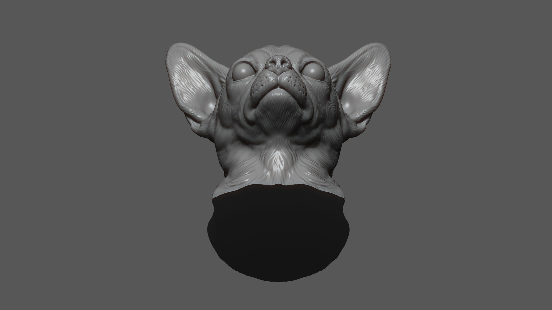 Chihuahua bust 3D print model_10