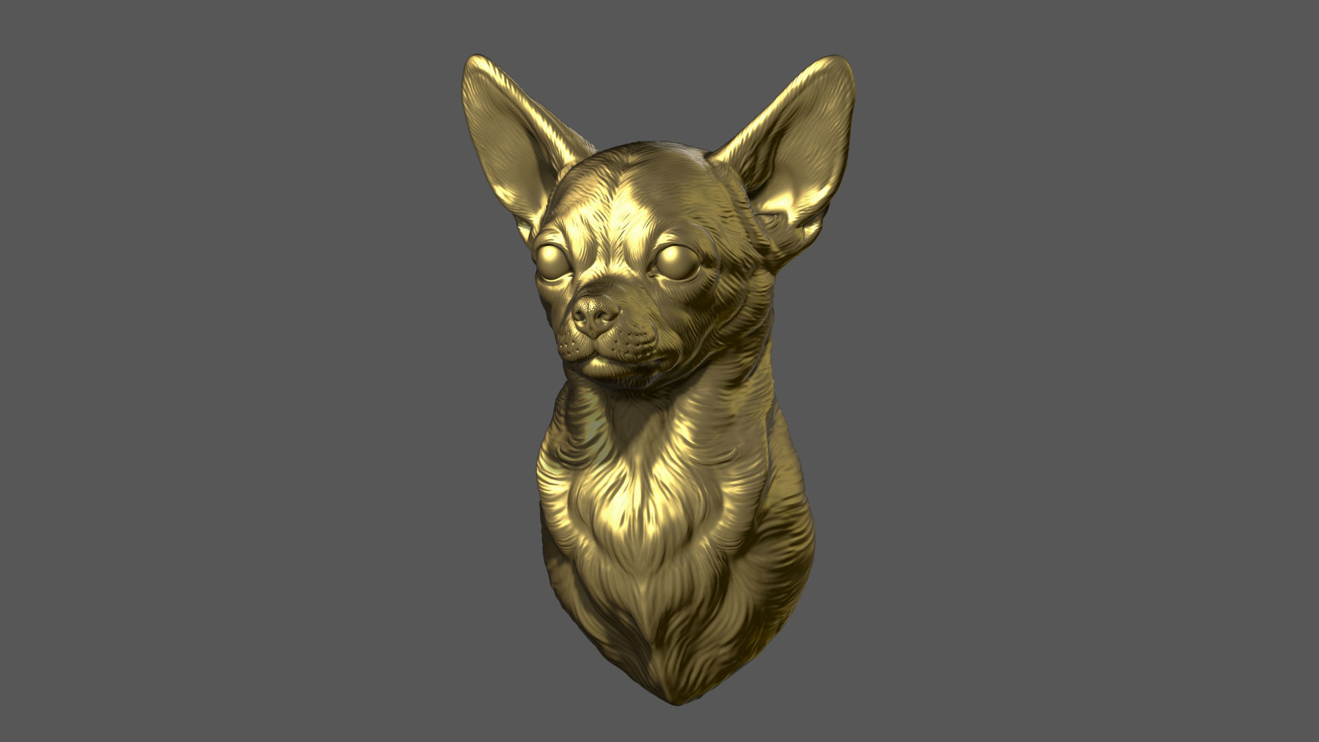 Chihuahua bust 3D print model_3