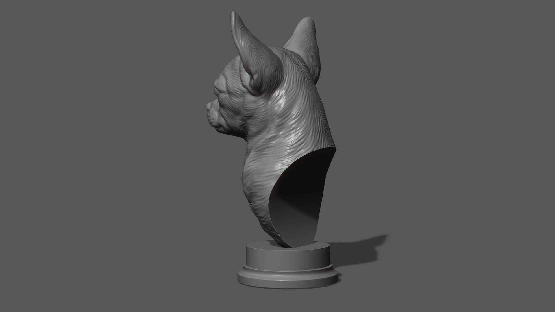 Chihuahua bust 3D print model_17