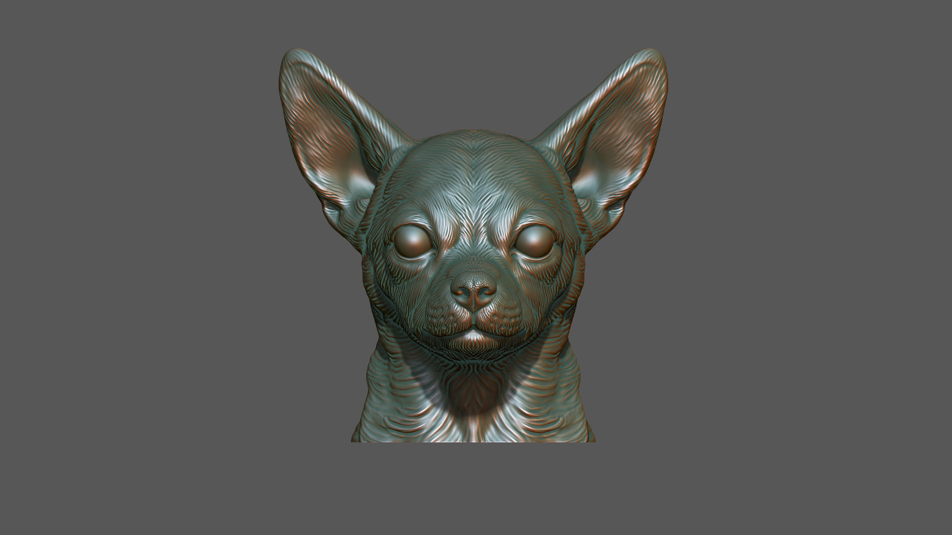 Chihuahua bust 3D print model_11