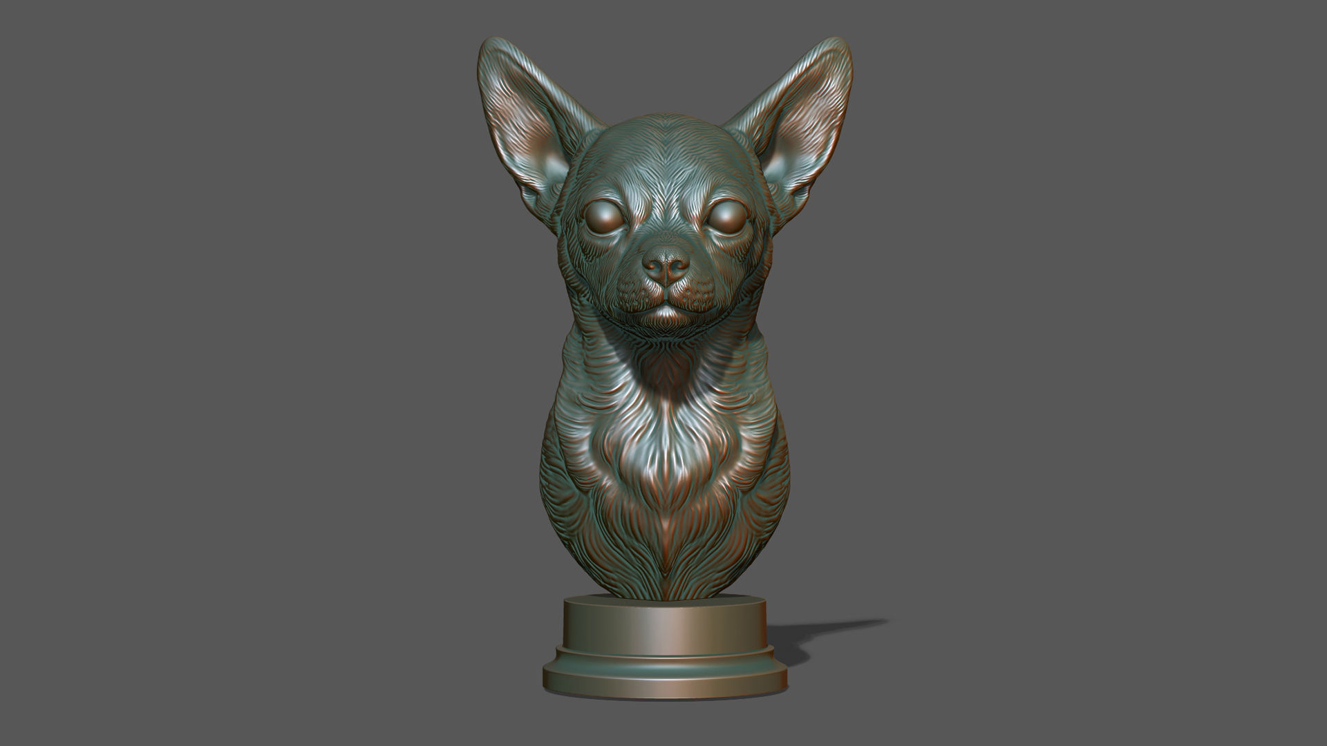 Chihuahua bust 3D print model_19