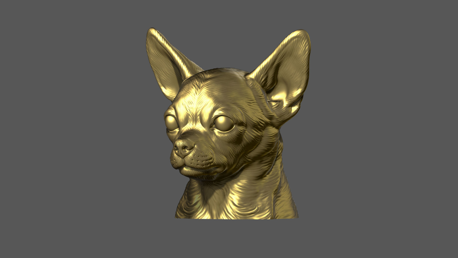 Chihuahua bust 3D print model_12