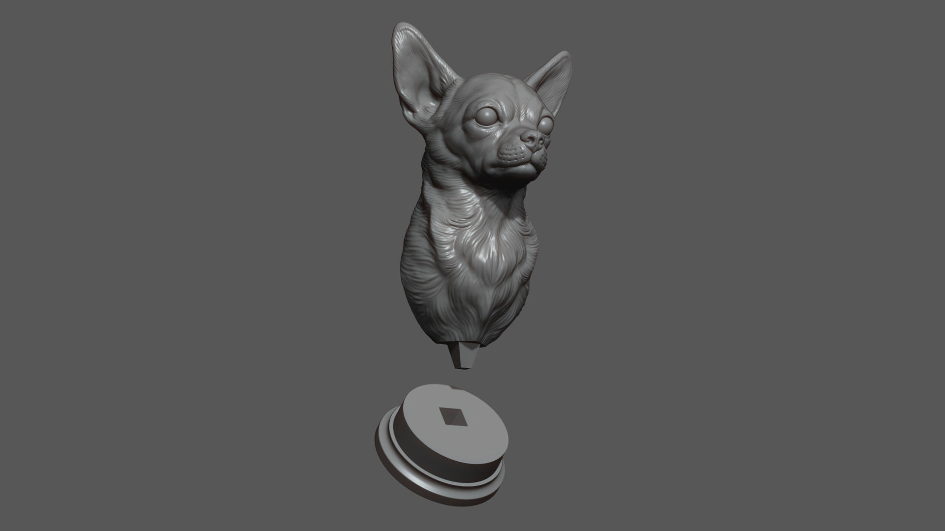 Chihuahua bust 3D print model_14