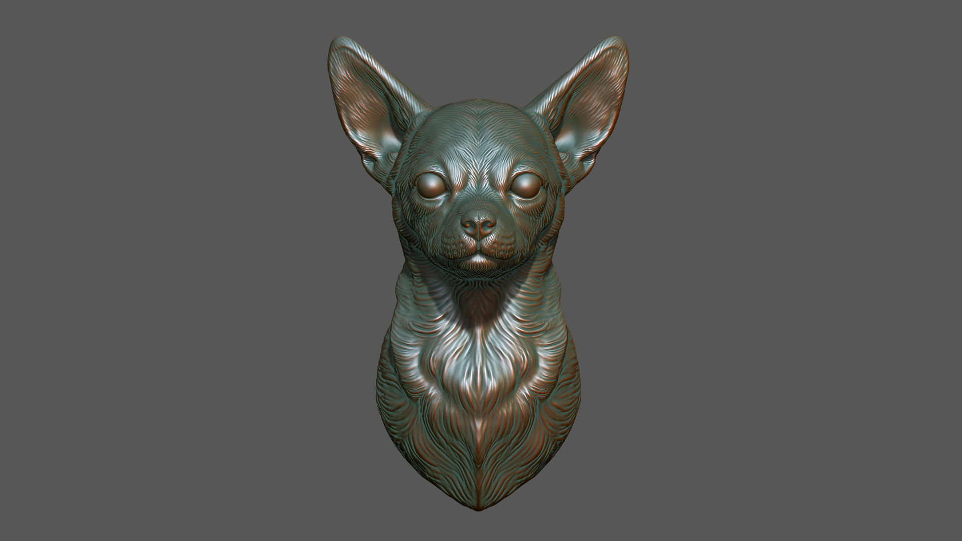 Chihuahua bust 3D print model_2