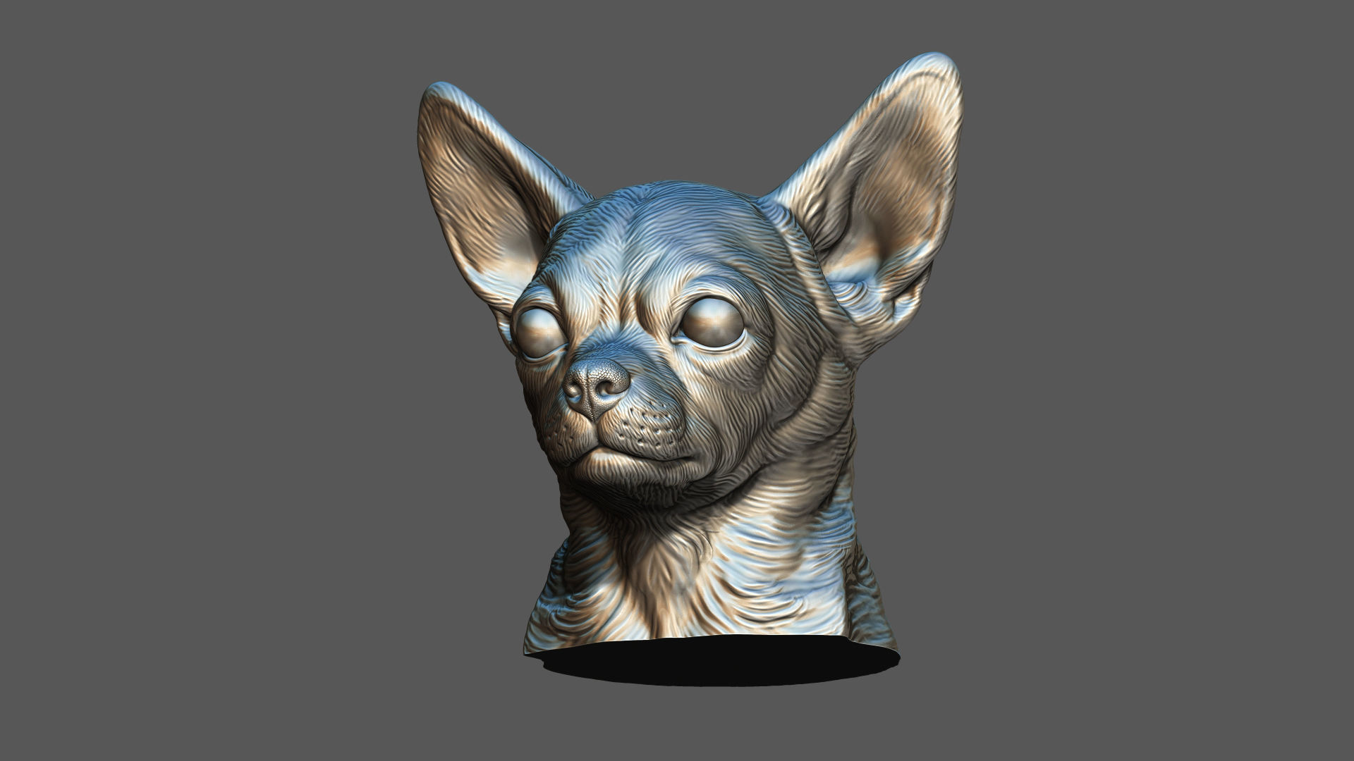 Chihuahua bust 3D print model_13