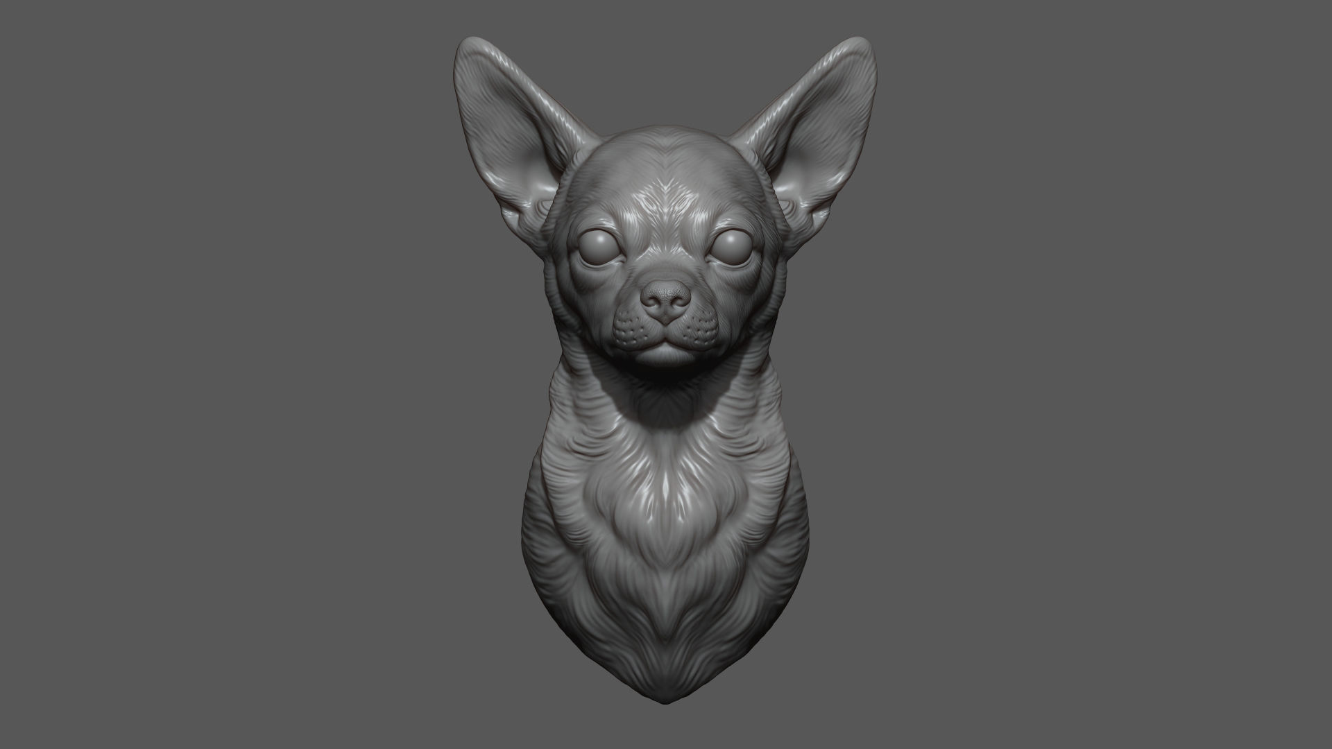 Chihuahua bust 3D print model_4