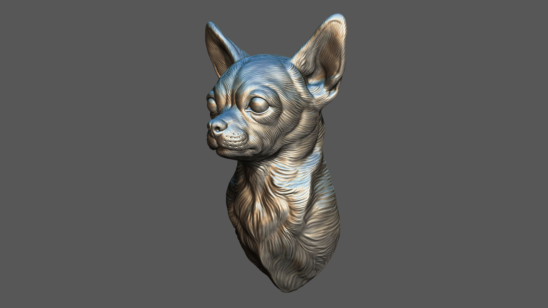 Chihuahua bust 3D print model_8