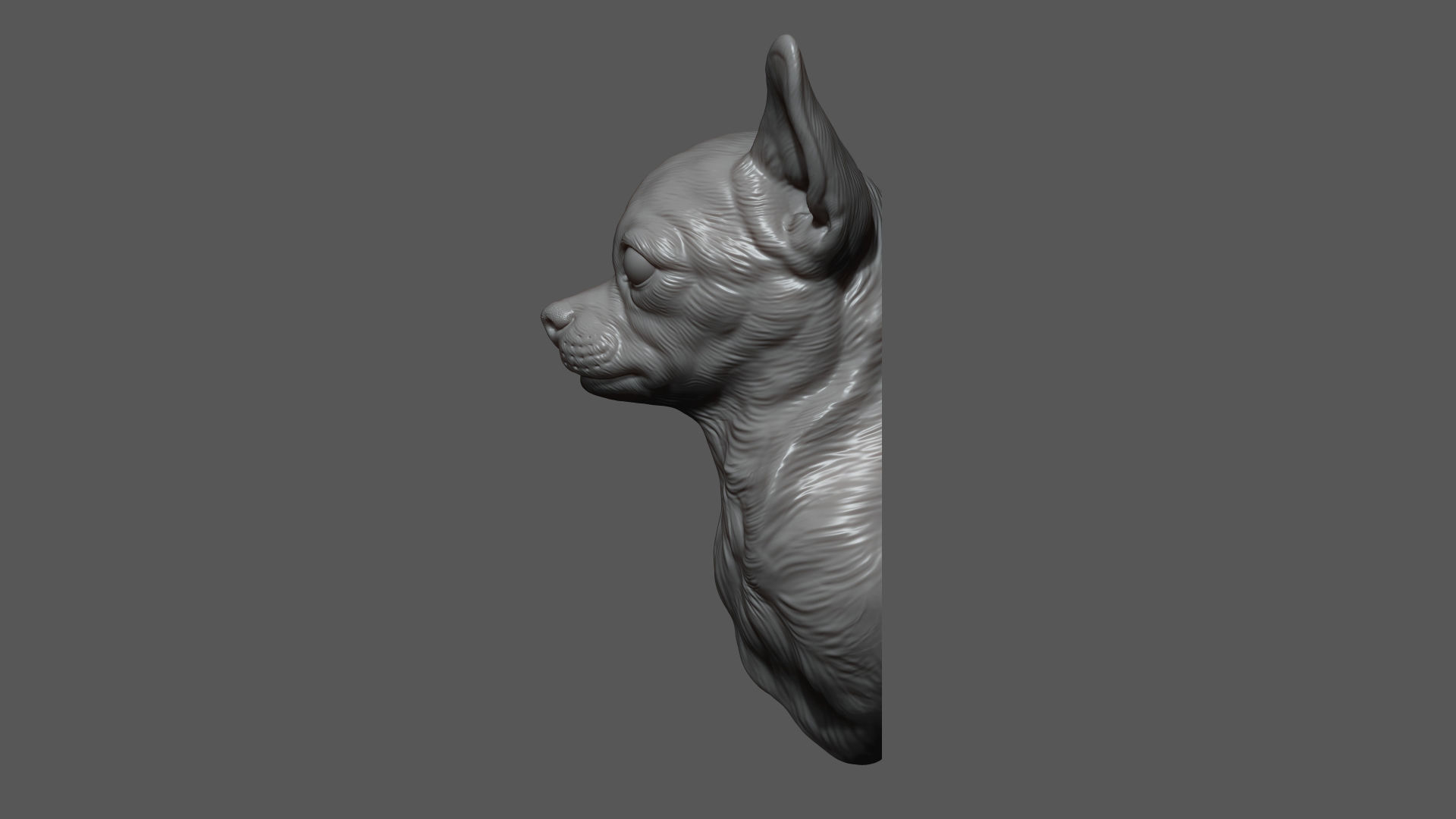 Chihuahua bust 3D print model_7
