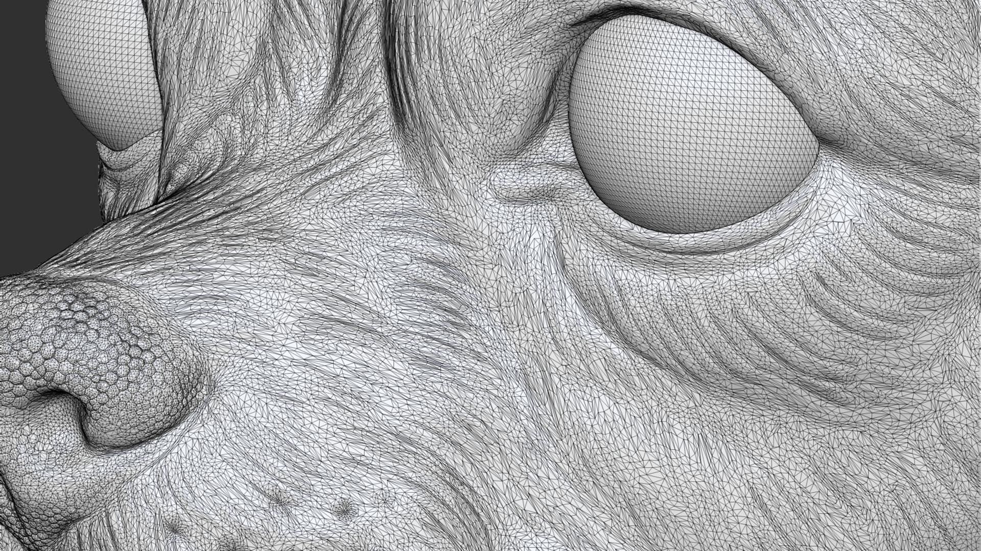 Chihuahua bust 3D print model_22