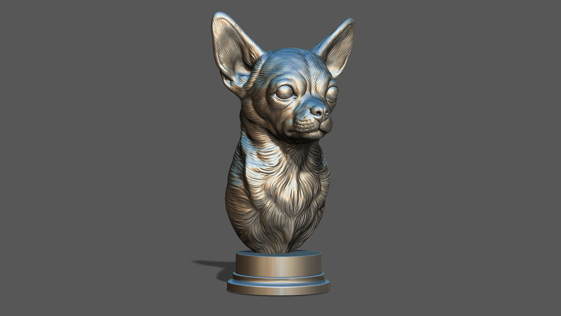 Chihuahua bust 3D print model_21