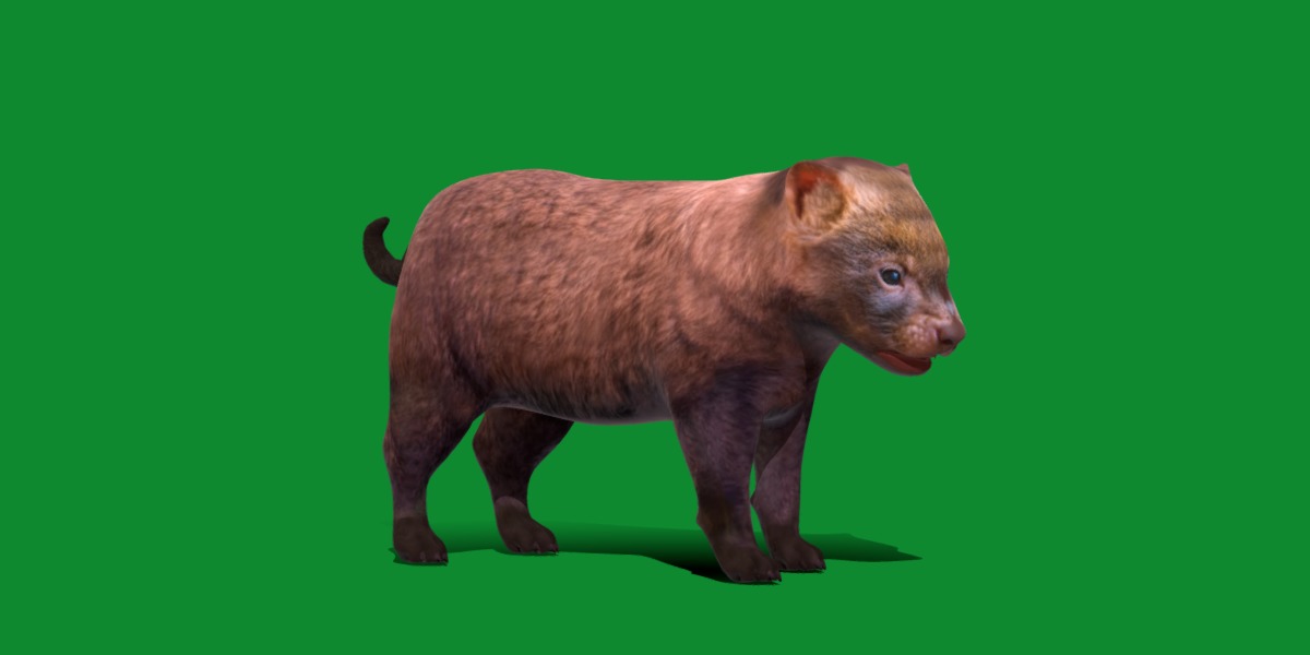 Bush Dog Low-poly 3D model_28
