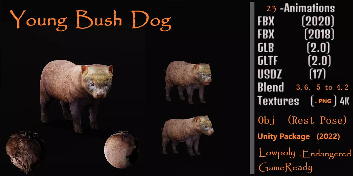 Bush Dog Low-poly 3D model_0