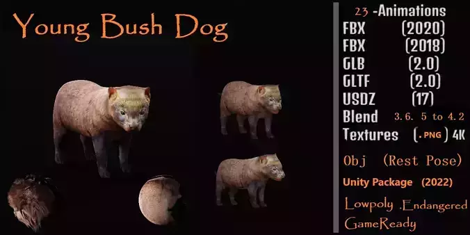 Bush Dog