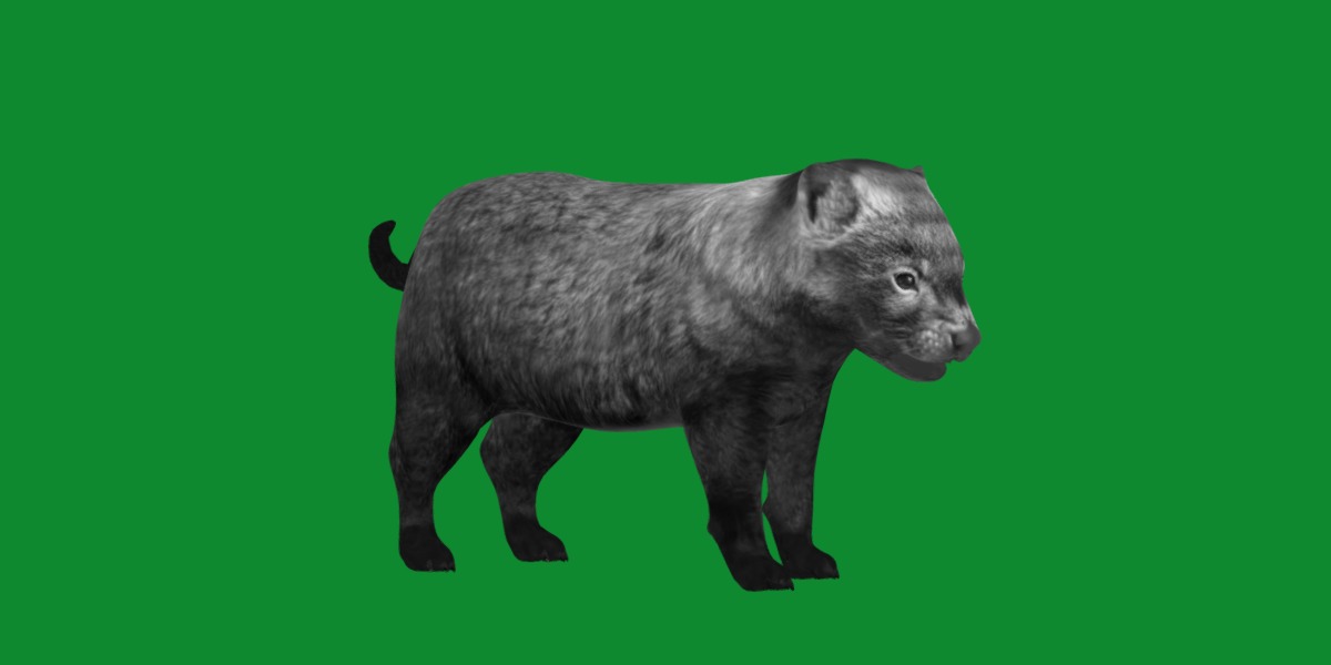 Bush Dog Low-poly 3D model_10