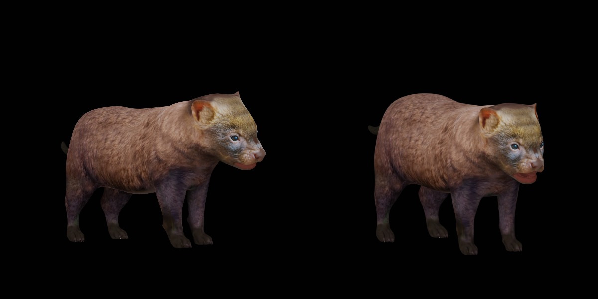 Bush Dog Low-poly 3D model_6
