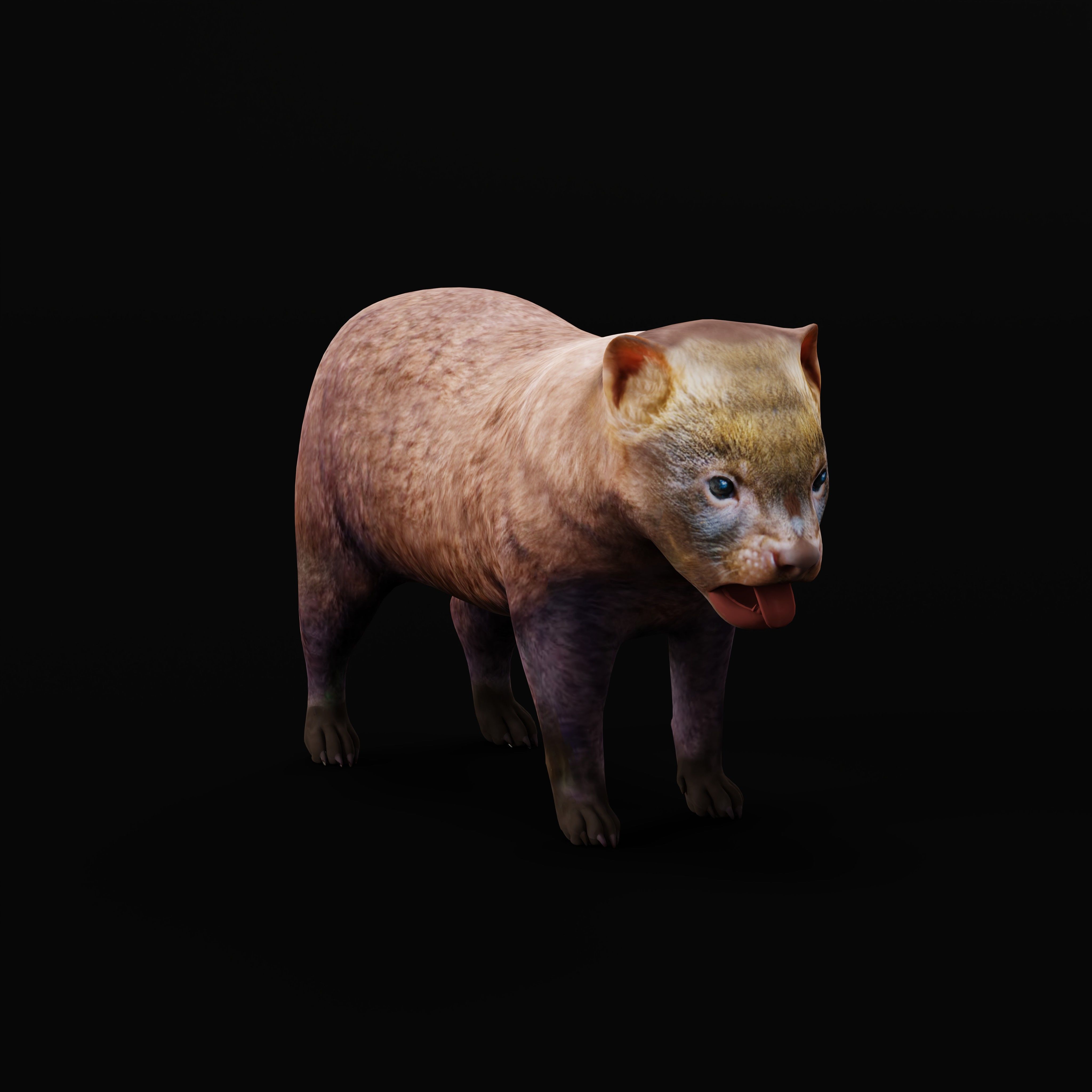 Bush Dog Low-poly 3D model_34