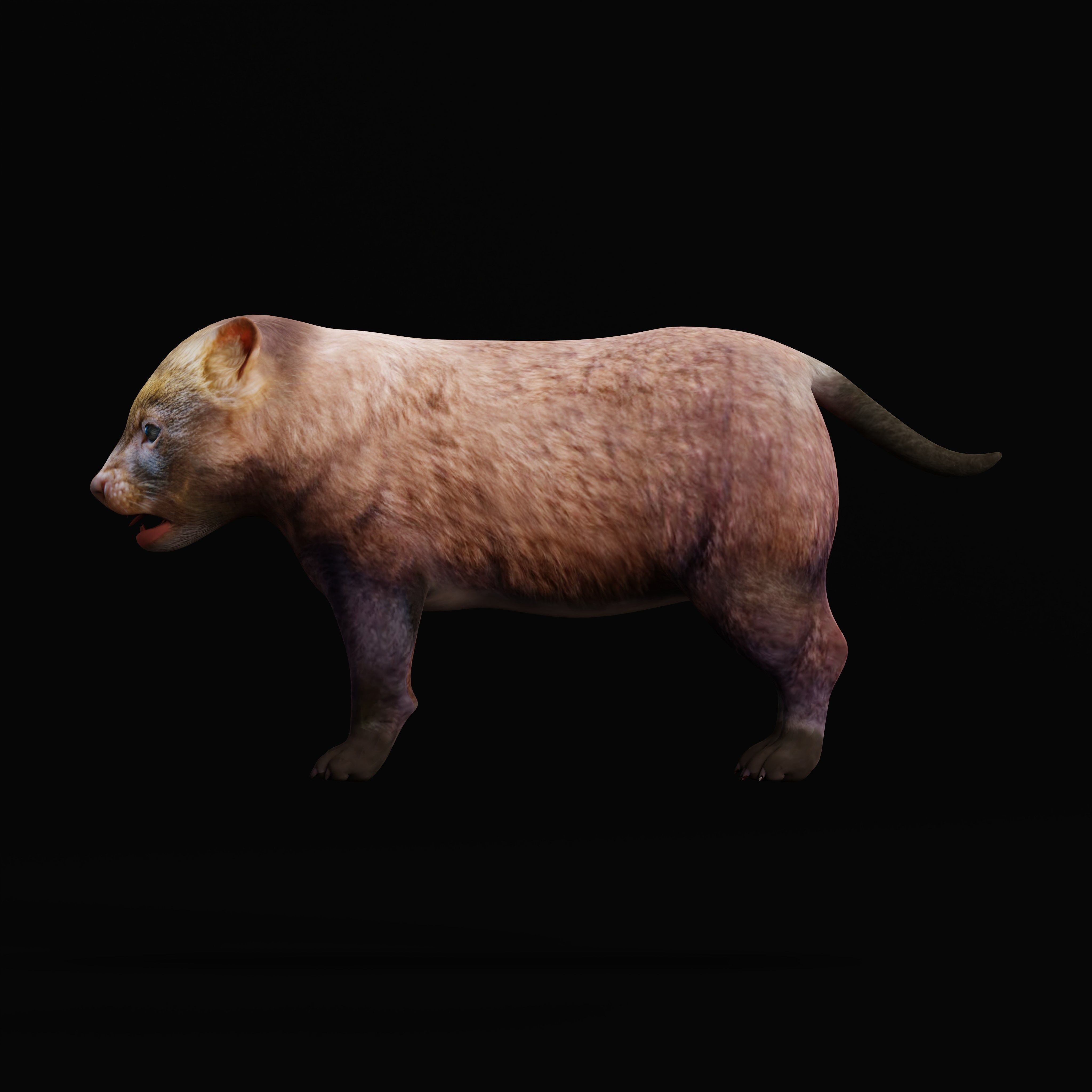Bush Dog Low-poly 3D model_37