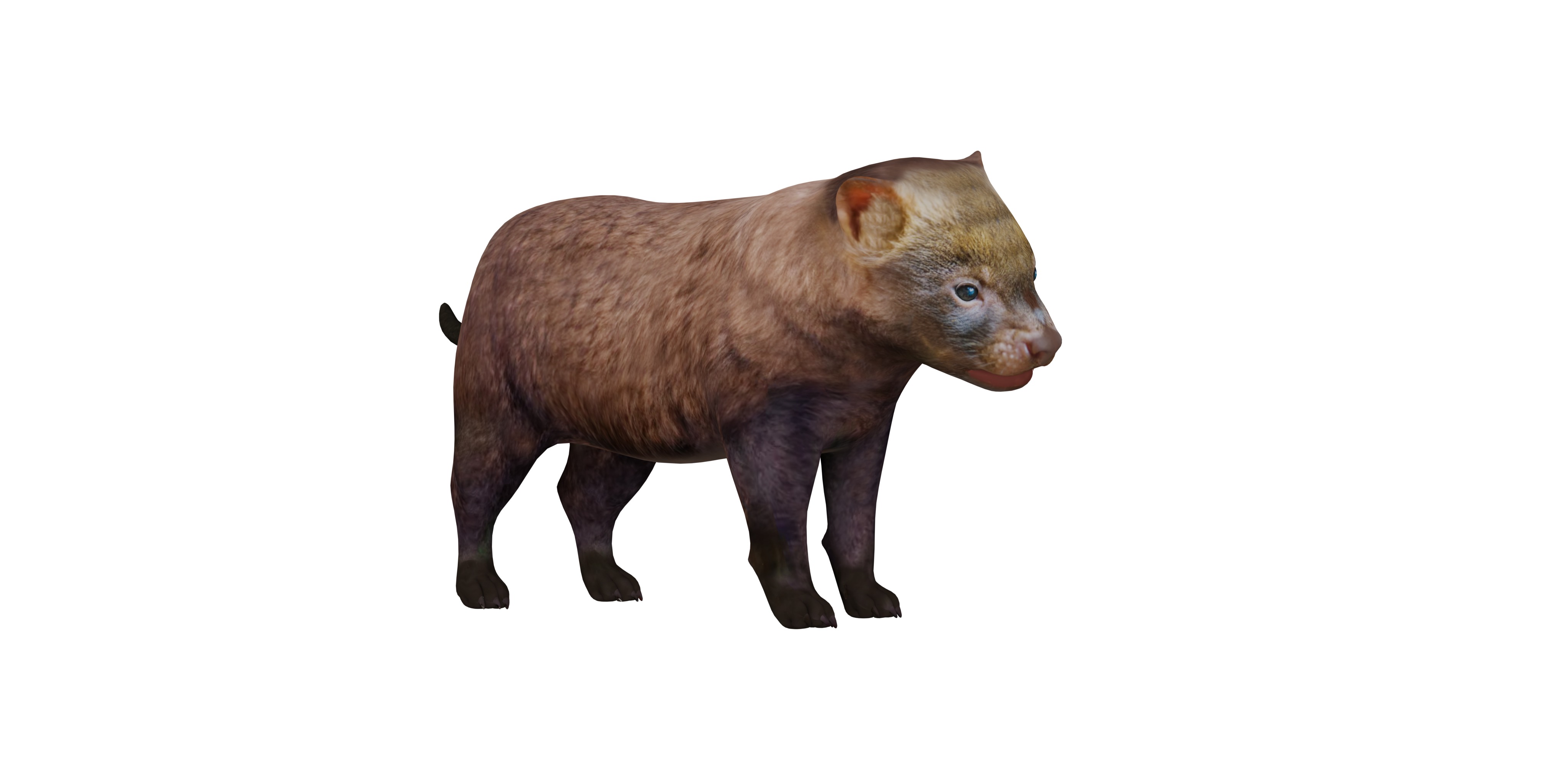 Bush Dog Low-poly 3D model_2