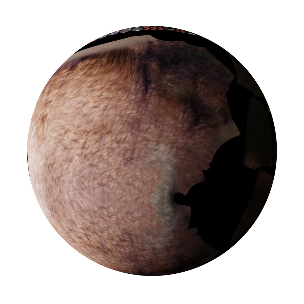 Bush Dog Low-poly 3D model_32