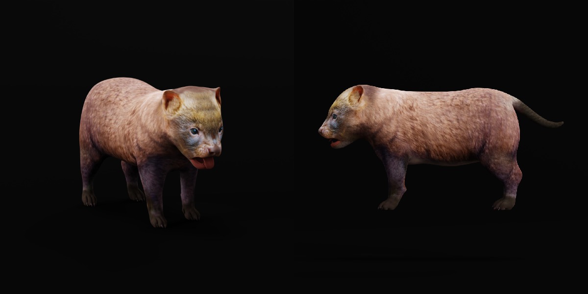 Bush Dog Low-poly 3D model_7