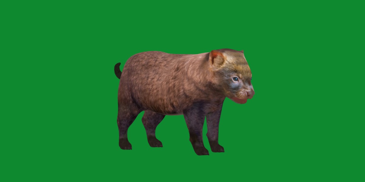 Bush Dog Low-poly 3D model_21