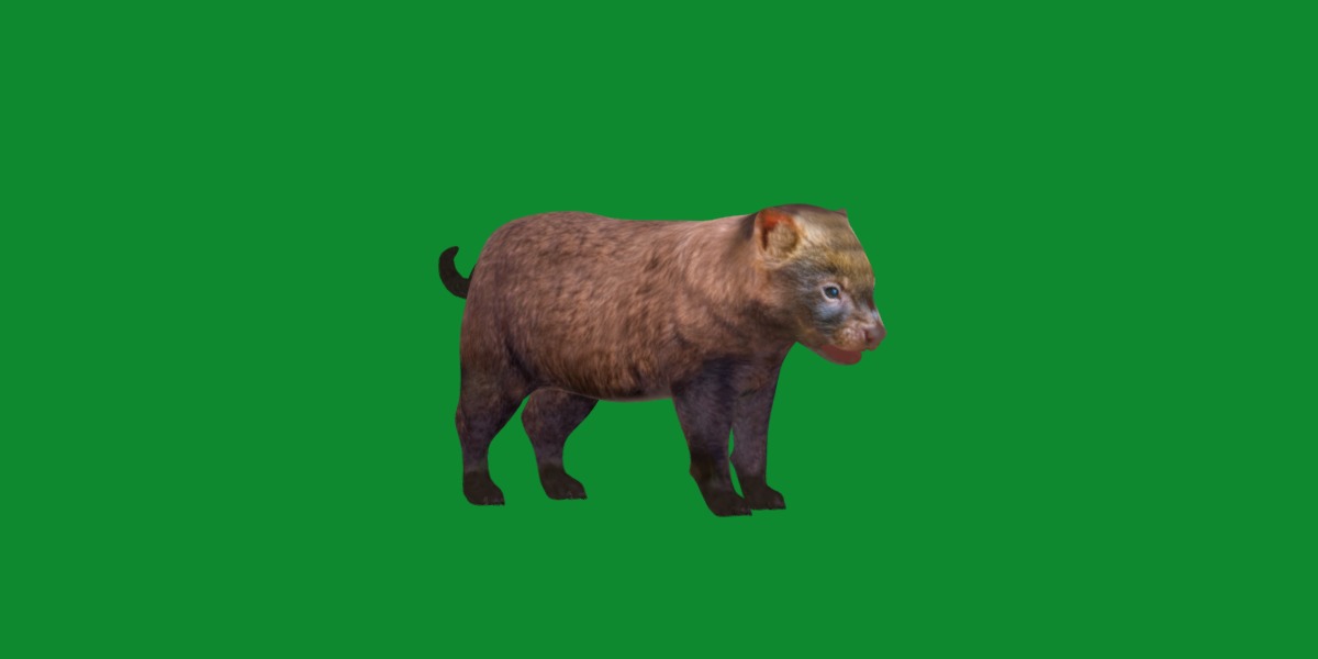 Bush Dog Low-poly 3D model_25